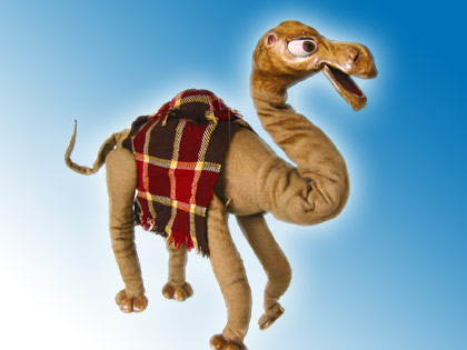 Ronnie Cryer's Camel